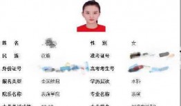 姓宋的爆料娱乐圈